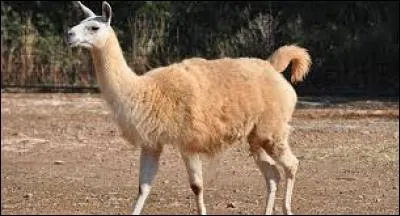 Voyons voir si vous allez trouver le titre de la chanson !