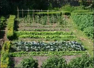 A présent, c'est le nom d'une petite série télévisée que vous recherchez !