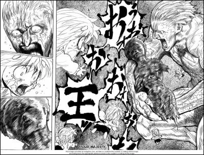 Quel est ce manga ? En tous cas, il n'est pas normal !