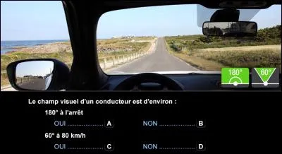 Choisir 2 réponses.