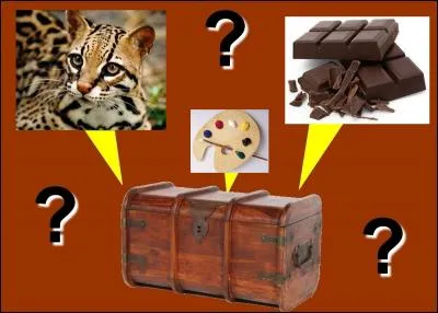 Qui se cache dans la malle ?