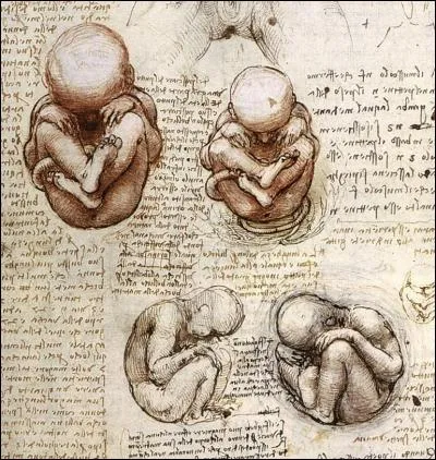 Quelle invention a été pensée par Léonard de Vinci ?