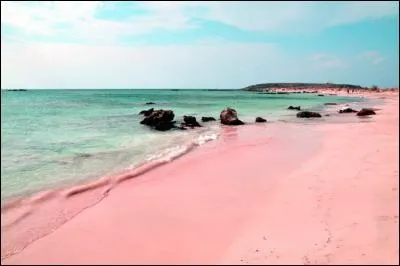 Comment appelle-t-on un collectionneur de sables ?