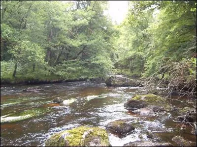 Quelle est cette rivière, qui, née sur le plateau de Millevaches, rejoint la Vienne après environ 260 km ?