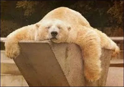 Quel mot n'est pas synonyme de "paresse" ?