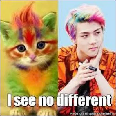 Sehun est :