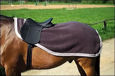 Quel est l'équipement ?