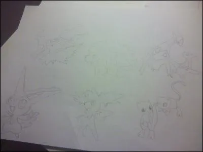 Quel est le nom du Pokémon avec 2 formes différentes ?