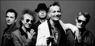 Quel chef d'État français les Wampas voulaient-ils voir en prison ?