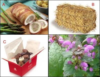 Le ballotin est repr&eacute;sent&eacute; en : (Indice : Louise Agostini)