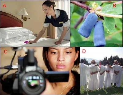 La cam&eacute;riste est repr&eacute;sent&eacute;e en : (Indice : Nafissatou Diallo)