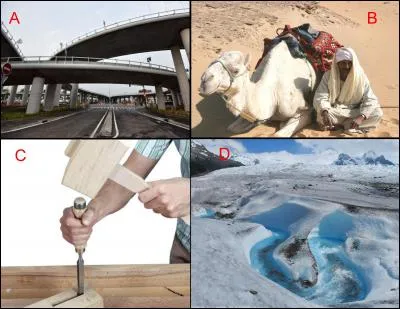 La b&eacute;di&egrave;re est repr&eacute;sent&eacute;e en : (Indice : Inlandsis)