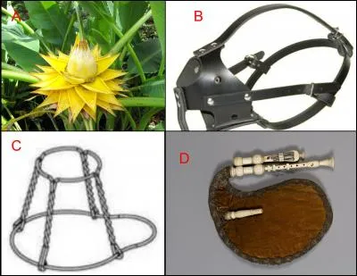 Le muselet est repr&eacute;sent&eacute; en : (Indice : la maison Pommery)