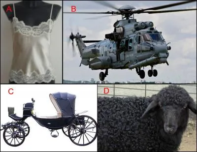 Le caracul est repr&eacute;sent&eacute; en : (Indice : Astrakan)