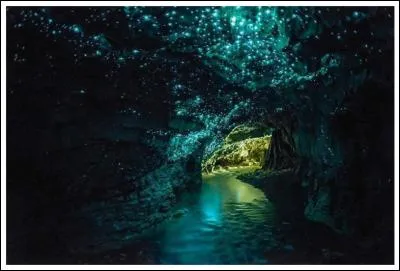 On dirait un ciel plein d'&eacute;toiles... Mais que sont ces taches lumineuses dans cette grotte marine de Nouvelle-Z&eacute;lande ?
