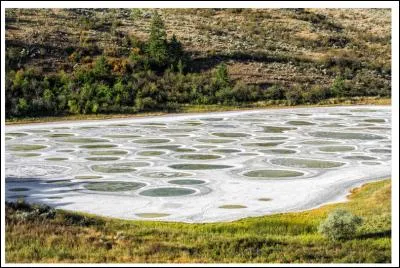 Encore un lac bizarre, mais ses taches sont tout &agrave; fait naturelles. O&ugrave; peut-on le trouver ?