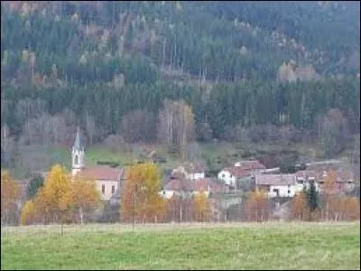 Je vous emmène en Lorraine visiter Raon-sur-Plaine. Village du canton de Raon-l'Etape dans la vallée de Celles, au pied du Donon, il se trouve dans le département ...