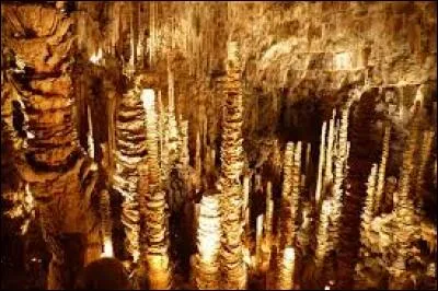 Dans l'Aven Armand, quelle est la taille de la stalagmite la plus grande ?