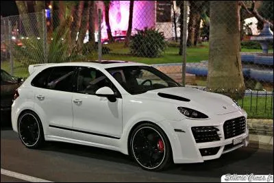 Laquelle de ces Porsche Cayenne n'a pas de moteur V8 ?