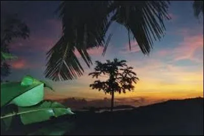 Quelle est la langue officielle de Mayotte ?