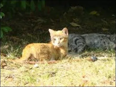 Pourquoi est-elle bannie de son clan ?