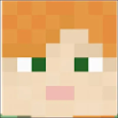 Qui est ce personnage de Minecraft ?
