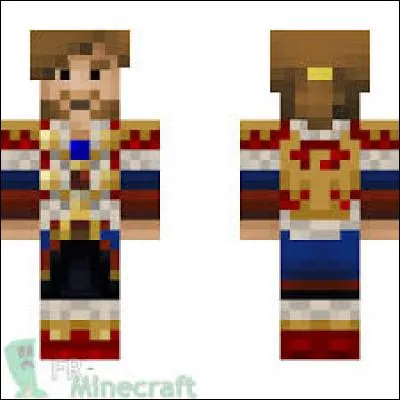 À qui appartient ce skin ?