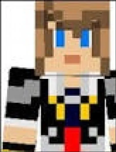 À qui appartient ce skin ?