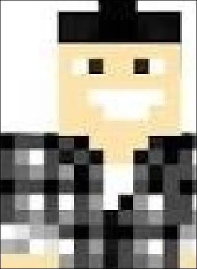 À qui appartient ce skin ?