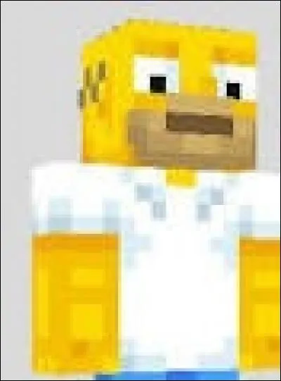 Qui est représenté en skin sur cette image ?