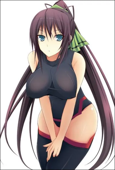 Qui est ce personnage faisant partie de l'Académie IS dans Infinite Stratos ?