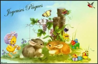 Qui vole sur cette image ?