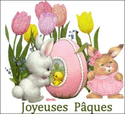 Quel est le nom des deux fleurs jaunes ?