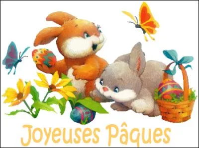 Que regarde le lapin roux et blanc ?