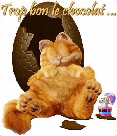 Qui est ce gros gourmand ?