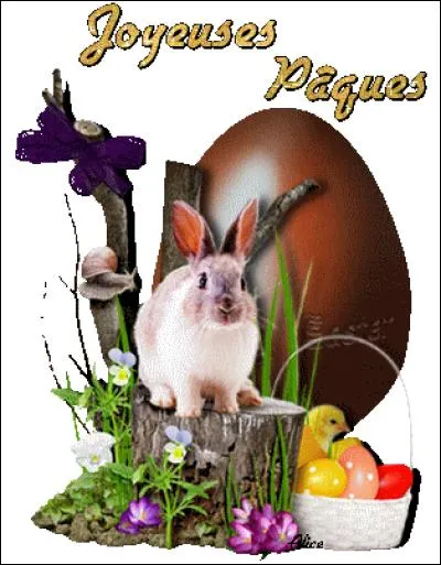 Où est l'escargot ?