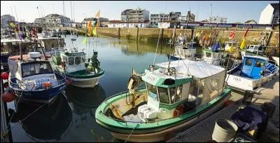 Quelle ville vendéenne, spécialisée dans la pêche aux poissons bleus (sardines, maquereaux), est née de l'unification de deux communes situées de part et d'autre de l'embouchure de la Vie ?