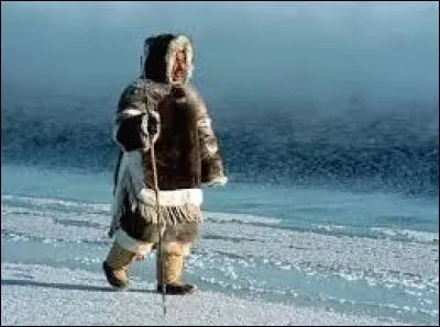 Les Inuits sont des peuplades autochtones vivant dans de nombreuses zones froides de la Terre. Dans laquelle de ces régions du monde ne les trouve-t-on pas ?