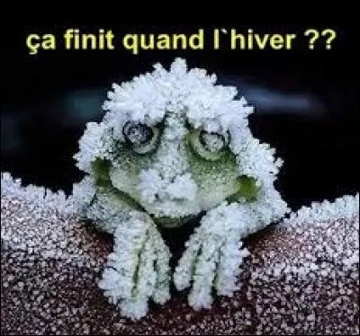 Lesquels de ces animaux n'ont pas le sang froid ?