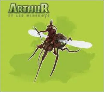 Qui sont les moustiques ?