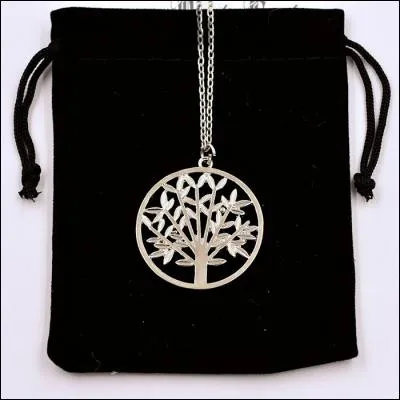 À qui appartient ce collier ?