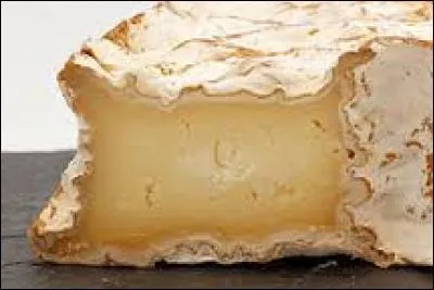 G&eacute;n&eacute;ralement, sous quelle forme pr&eacute;sente-t-on le neufch&acirc;tel ?