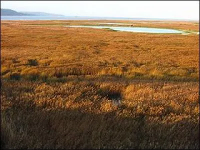 Que ne trouve-t-on pas dans le Parc naturel r&eacute;gional des Boucles de la Seine normande ?