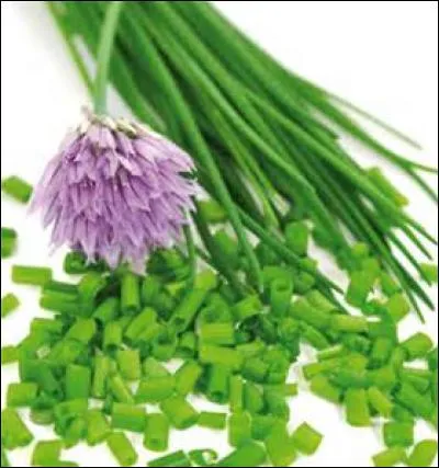 Et avec un fromage me direz-vous ? Oui, fromage blanc et ---- pour un mariage heureux et très joli à l'il.