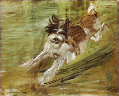 Il galope le chien, oreilles au vent. Qui a saisi l'instant ?