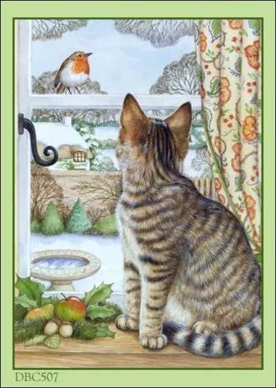 Que regarde le chat ?