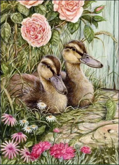 Que sont ces animaux ?