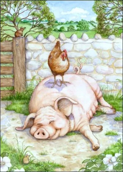 Que vois-tu sur l'image ?