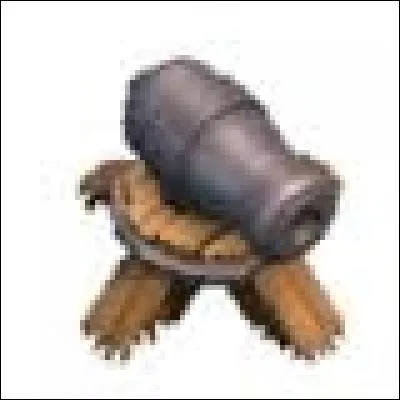 Quelle est cette défense ?