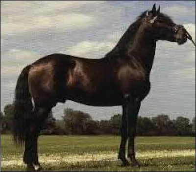 Quelle taille mesure-t-il ?